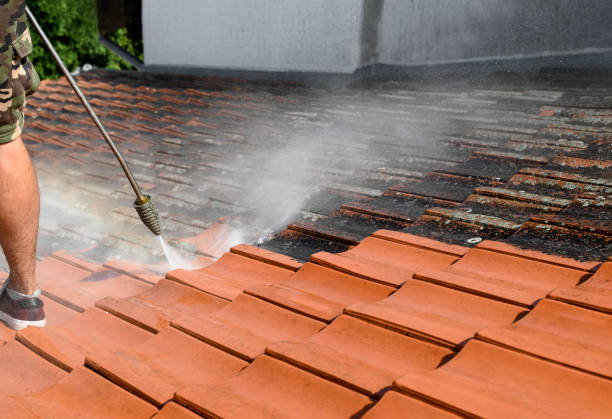 Best Roof Power Washing Services  in Castle Rock, WA